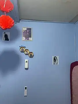 Sanieku online show from 24, 3, 2026