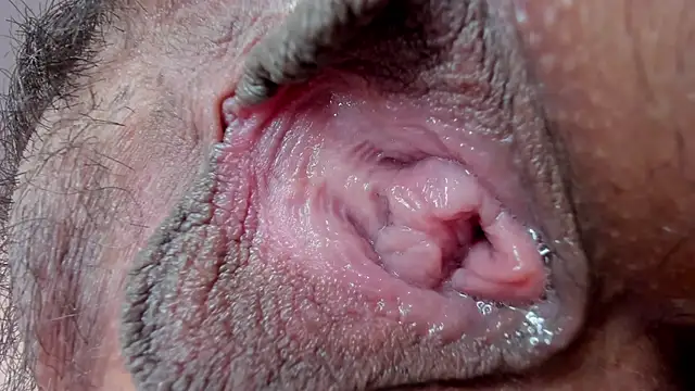 Snapshot of ms_pickless chatting on 27, 1, 2025 ms pickless online show from 27, 1, 2025