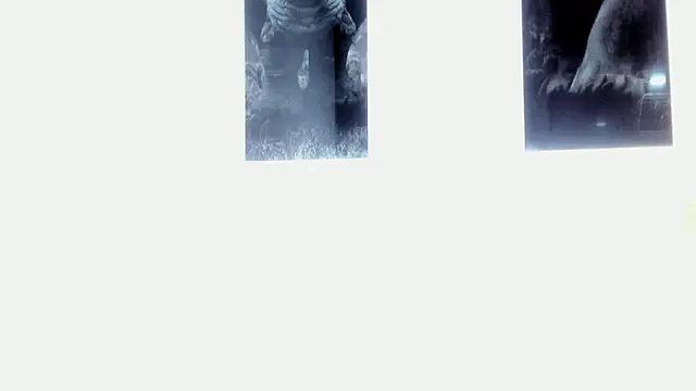 Snapshot of AlexRivera6 chatting on 17, 3, 2025 AlexRivera6 online show from 17, 3, 2025