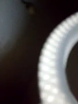 rodovlaz online show from 19, 2, 2025