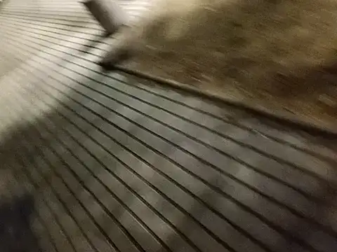 rodovlaz online show from 27, 2, 2025