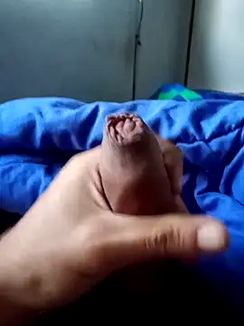 rodovlaz online show from 2, 4, 2026