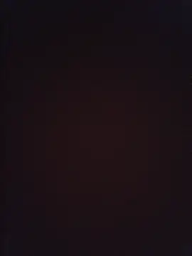 MacDexter online show from 11, 6, 2026
