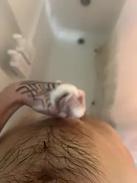 Snapshot of ThatTattooedGuy chatting on 1, 12, 2025 ThatTattooedGuy online show from 1, 12, 2025