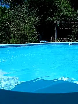 dutra498 online show from 11, 2, 2026