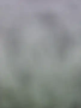 fuckineverett online show from 15, 3, 2025