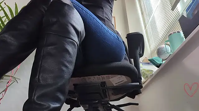 City Kat online show from 6, 3, 2026