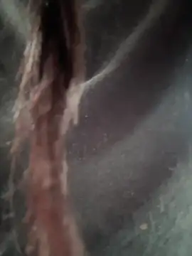   IRIS   online show from 14, 2, 2025