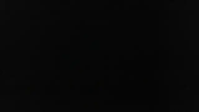 carleee winter online show from 25, 2, 2025