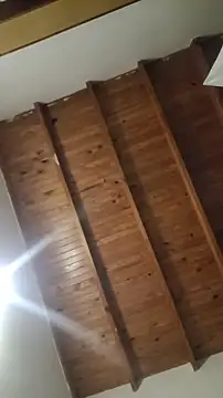 ZaraHoney online show from 28, 10, 2025