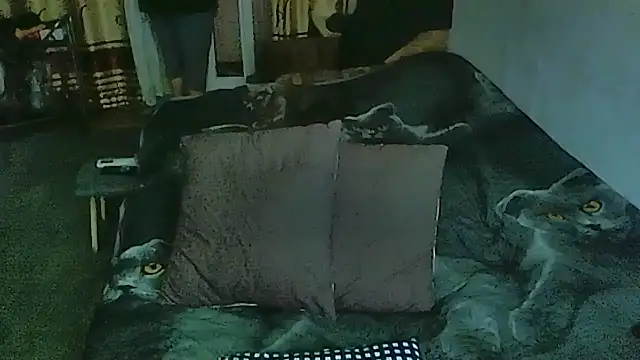 sex2 online show from 30, 3, 2026