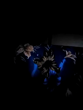 Snapshot of vansh1802 chatting on 29, 1, 2025 vansh1802 online show from 29, 1, 2025