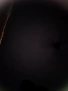 Pitercom online show from 19, 10, 2025