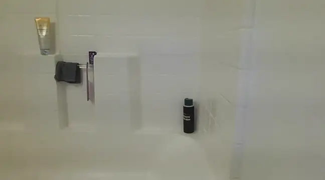 Yankeedave420 online show from 8, 3, 2025