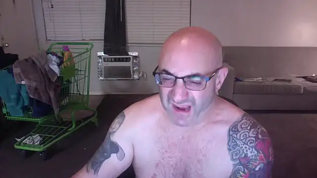 palidin1 online show from 26, 11, 2025