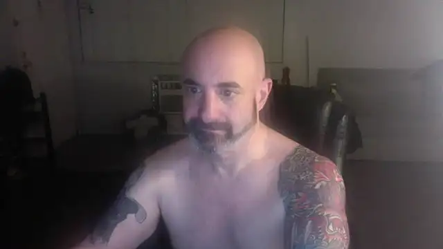 palidin1 online show from 6, 2, 2026