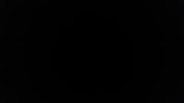 palidin1 online show from 20, 4, 2026