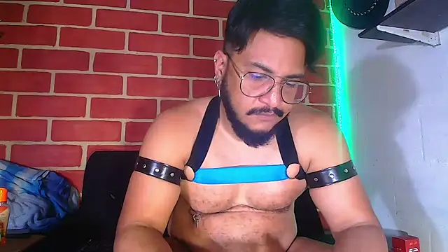 the master foal  online show from 26, 1, 2025