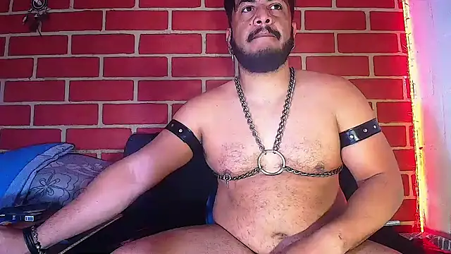 the master foal  online show from 4, 2, 2025