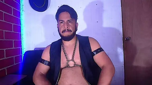 the master foal  online show from 8, 2, 2025