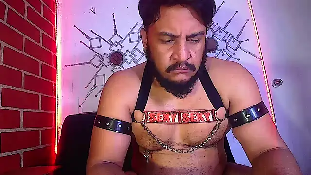 the master foal  online show from 16, 2, 2025