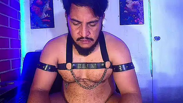 the master foal  online show from 19, 2, 2025