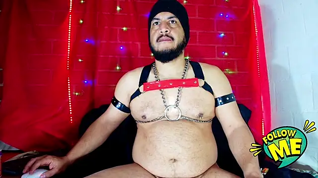 the master foal  online show from 18, 9, 2025