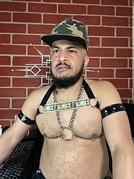 the master foal  online show from 4, 2, 2026