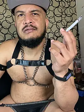 the master foal  online show from 7, 3, 2026