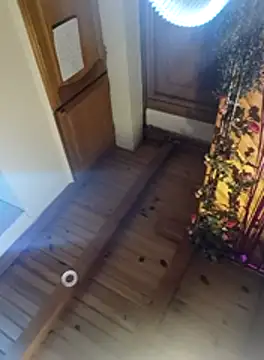 virginriverofficial online show from 10, 1, 2026