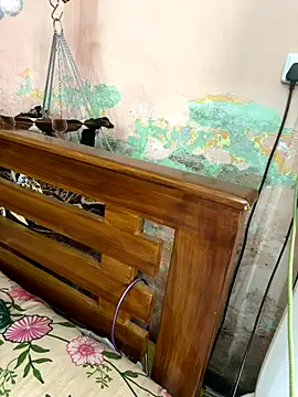 falooda288 online show from 28, 10, 2025