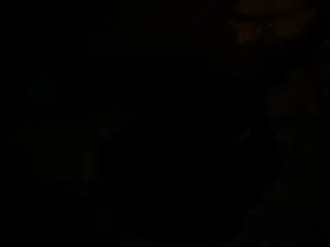 jck1m0t online show from 19, 12, 2024