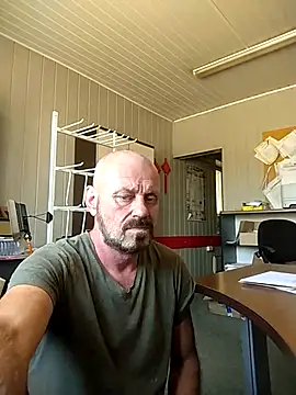 wilkalfa online show from 26, 5, 2026
