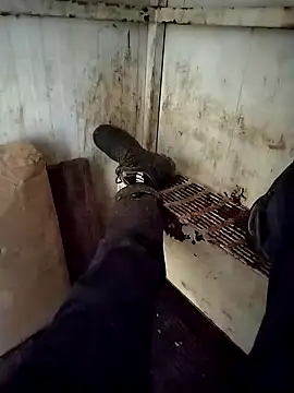 Snapshot of VASKOS178 chatting on 29, 12, 2024 VASKOS178 online show from 29, 12, 2024