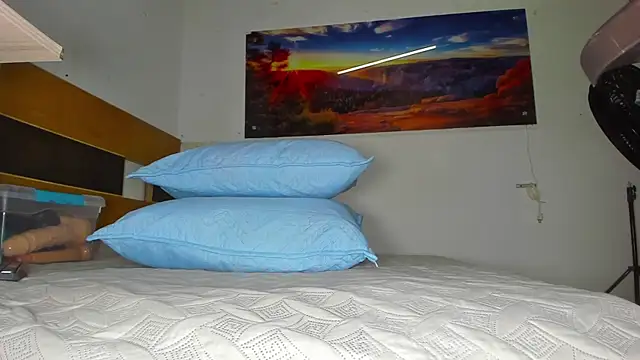 Snapshot of _ebony-queen_ chatting on 28, 2, 2025 ebony-queen online show from 28, 2, 2025