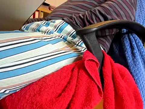 leccaleccafiga online show from 27, 1, 2025