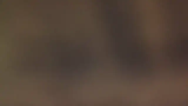 leccaleccafiga online show from 7, 3, 2026