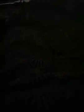 bomakrn online show from 3, 11, 2025