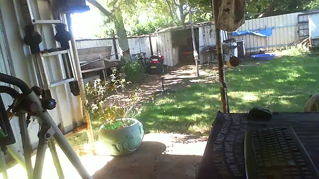 herbie010666 online show from 14, 4, 2026