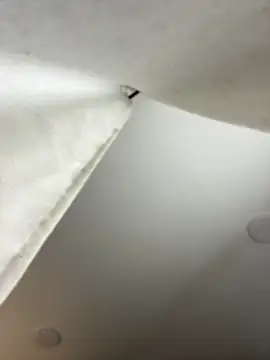 Snapshot of GeorginaJones chatting on 18, 1, 2025 GeorginaJones online show from 18, 1, 2025