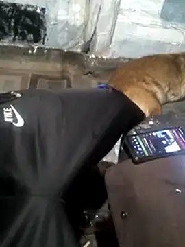 Wero4200 online show from 13, 3, 2026