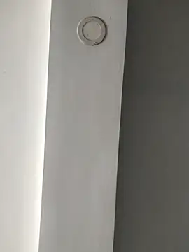 ElsecretodeBruno online show from 18, 2, 2025