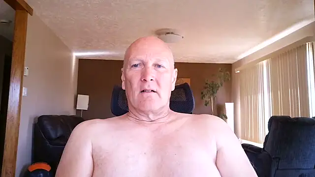 BasicAnt online show from 19, 5, 2026