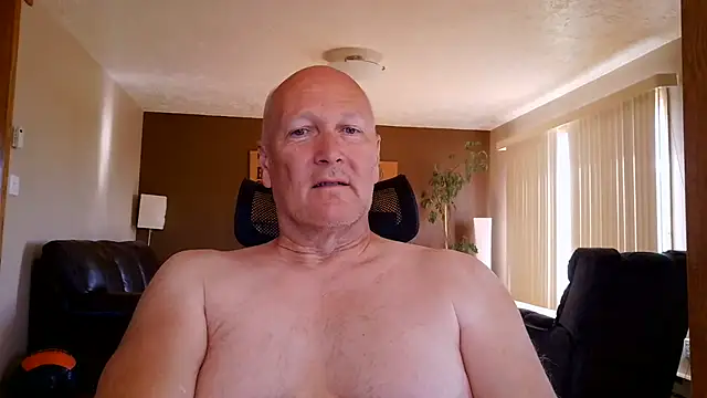 BasicAnt online show from 29, 5, 2026