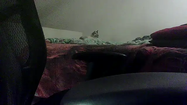 OralDesires2 online show from 19, 2, 2025