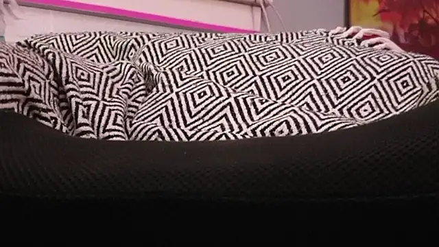 sexmadshyguy online show from 22, 12, 2025