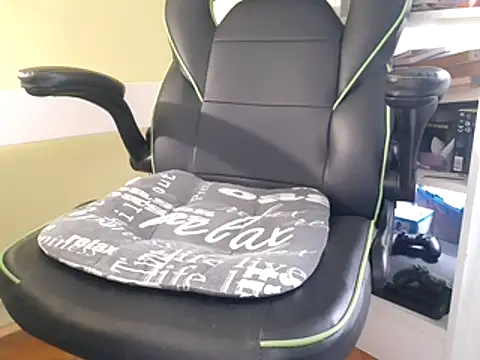 feathersify online show from 4, 11, 2025