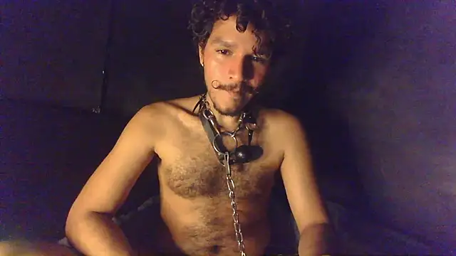 die mond online show from 20, 3, 2026