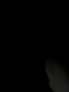 RomaLovesFamily online show from 16, 11, 2025