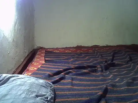 cute-shamza online show from 3, 11, 2025